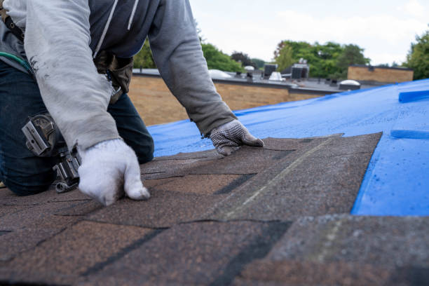 Best Local Roofing Companies  in Dresden, TN