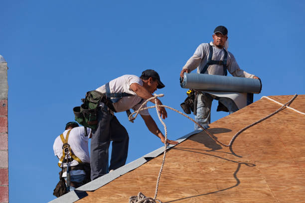 Best Commercial Roofing Services  in Dresden, TN