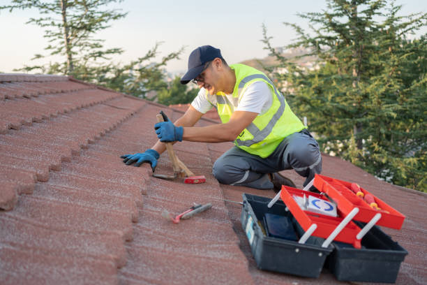 Best Best Roofing Contractors  in Dresden, TN