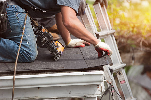 Best Gutter Installation and Roofing  in Dresden, TN
